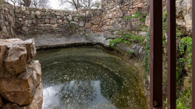 מעיין עין ביכורא (צילום: בוני שיינמן, ארכיון הצילומים של קק"ל)