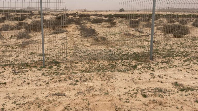 גדר פרוצה בכפר רתמים (צילום: ללא קרדיט)