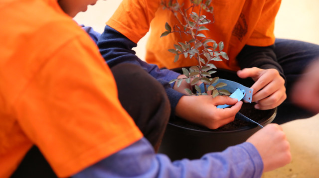 פרויקט עץ אחד בדיזנגוף סנטר (צילום: יעל צור)