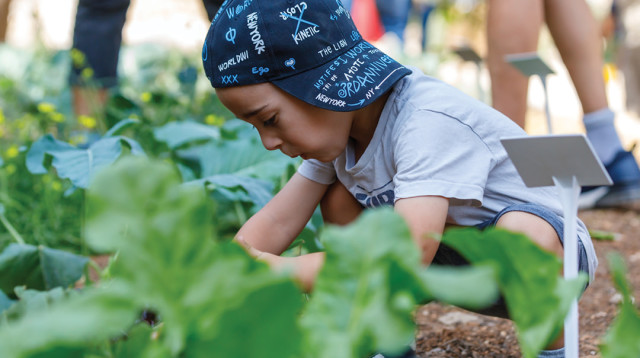 טו בשבט בחווה בגיא (צילום: יחצ)