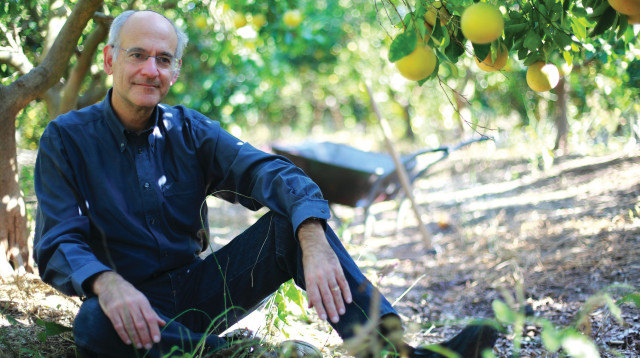 מירון איזקסון (צילום: אריק סולטן)