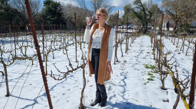 מטיילים בשמורת טבע יער מסעדה (צילום: שרית פלצ'י מיארה רשות הטבע והגנים)