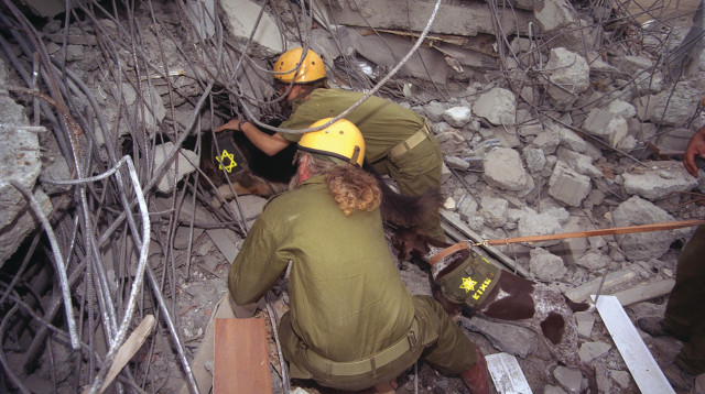 צוות חילוץ ישראלי בטורקיה לאחר רעידת האדמה ב-1999 (צילום: דובר צה"ל)