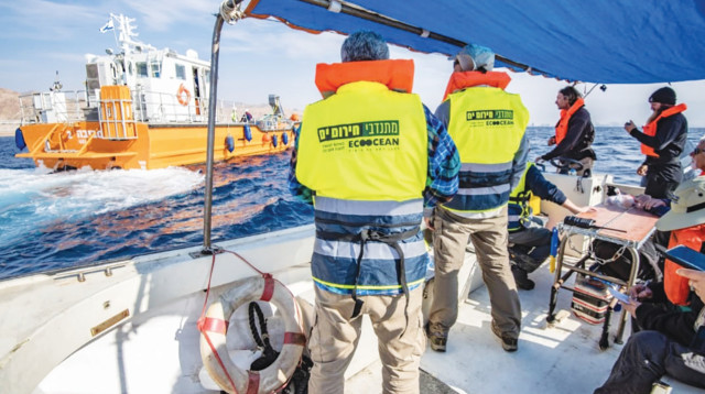 אקוואקשן (צילום: עמית ליבר, אקואושן)