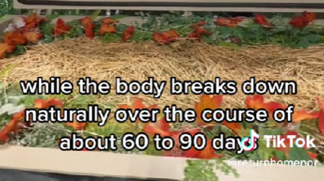 קבורה ירוקה היא הצעד הבא (צילום: מתוך טיקטוק)