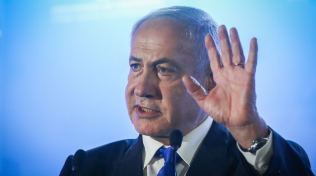 ביבז (צילום: נעם ריבקין פנטון, פלאש 90)