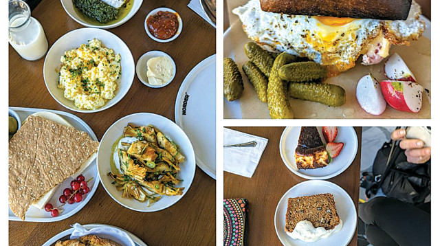 "נורדר" (צילום: אסנת גואטה)