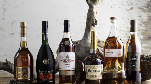 פסטיבל הקוניאק של יין בעיר (צילום: קיס אנד טל קריאייטיב)