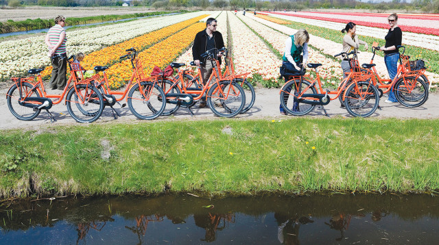 רוכבים הולנדים בשדה (צילום: רויטרס)