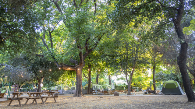 מתחם קמפינג בקיבוץ דפנה (צילום: טלי נבו)