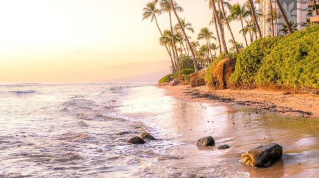 Ka’anapali Beach - הוואי, ארצות הברית (צילום: צילום מסך אינסטגרם)