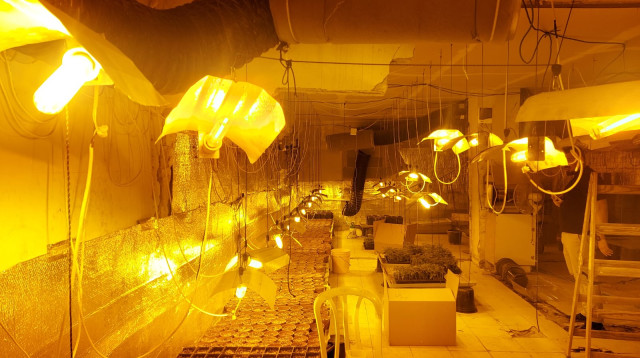 מעבדה לגידול סמים (צילום: דוברות המשטרה)