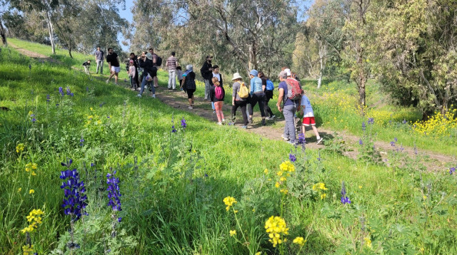 שמורת הטבע גבעת המורה (צילום: אתי קוריאט, רשות הטבע והגנים)