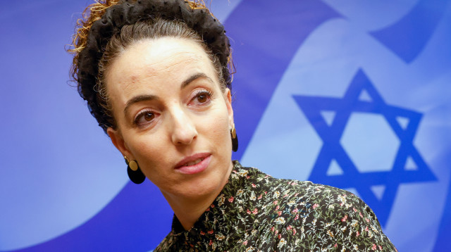 עידית סילמן  (צילום: מארק ישראל סלם)