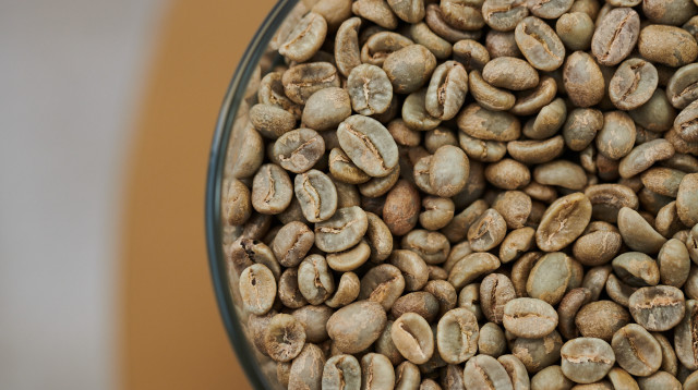 קפה ירוק (צילום: נועם פריימן)