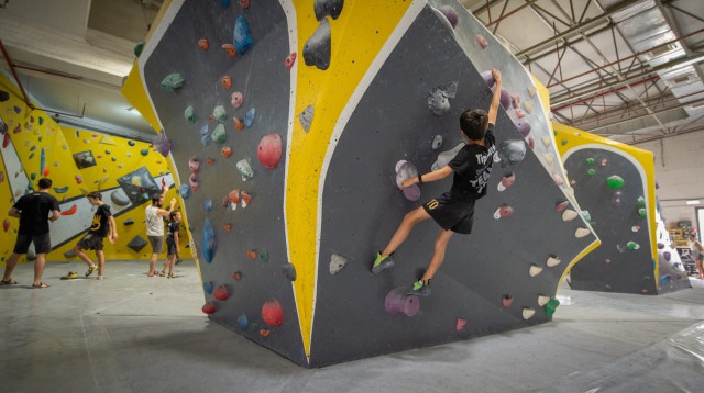  (צילום: יחצ)