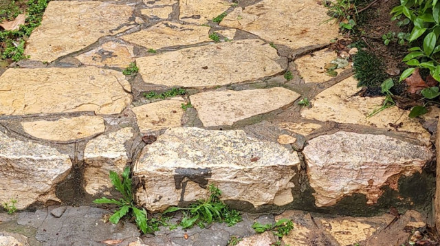 הבולען שנפער ברחוב נחלת צבי (צילום: אלון חכמון)