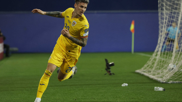 ברומניה לא יסתפקו בדבר מלבד ניצחון. דניס מאן (צילום: רויטרס)