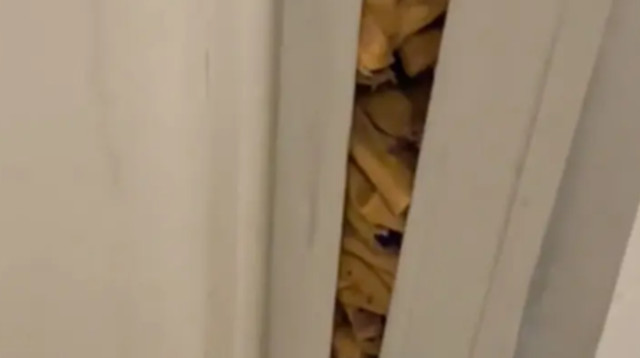 הריח הנורא במקלחת הגיע ממקום אחר לגמרי ולא מהביוב (צילום: מתוך טיקטוק)