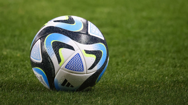 כדור כדורגל (צילום: ברני ארדוב)