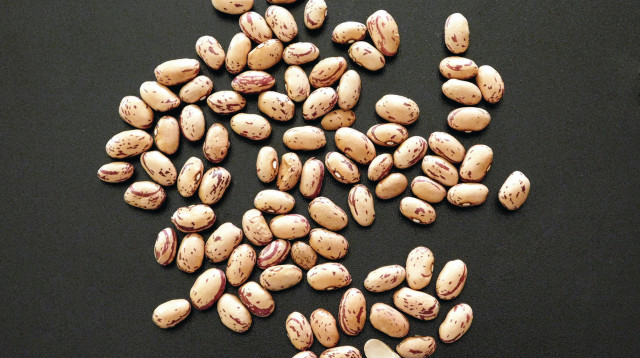 כדאי להעשיר תפריט ללא גלוטן עם קטניות כמו שעועית (צילום: אינגאימג')