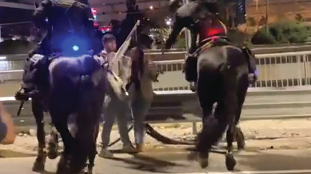 תיעוד העימות בין המפגינה לפרש במהלך ההפגנה נגד הרפורמה במערכת המשפט (צילום: רשתות חברתיות, שימוש לפי סעיף 27 א')