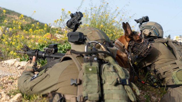 פעילות הכוחות (צילום: דובר צה"ל)