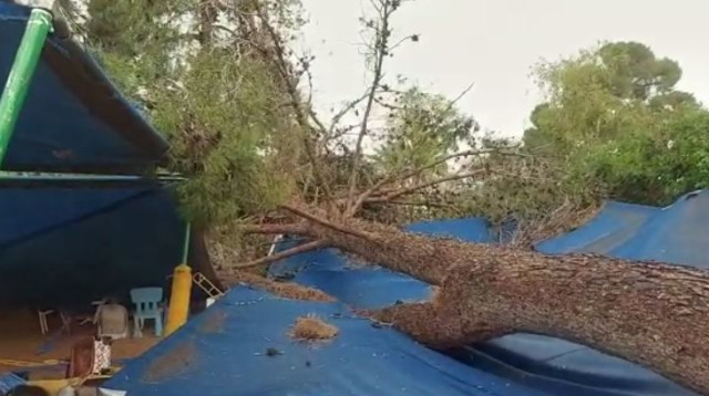 תיעוד האירוע (צילום: שימוש לפי סעיף 27א')