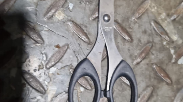 מספריים (צילום: דוברות ירושלים)