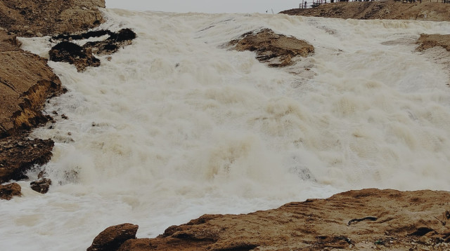 שיטפון בערבה (צילום: חן פודין)