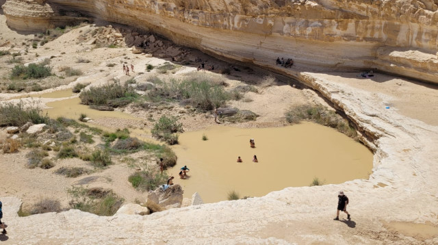 מטיילים בשמורת עין גדי (צילום: בעז שיזף)