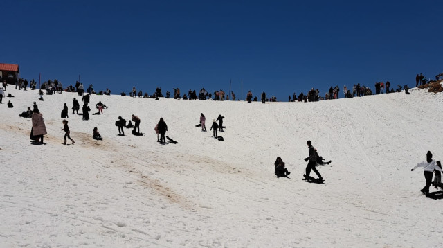 גולשים באתר החרמון (צילום: אתר החרמון)