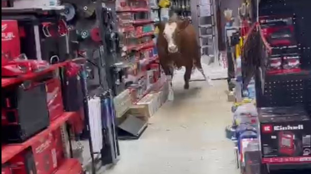 אירוע חריג בדרום הארץ  (צילום: שימוש לפי סעיף 27א')