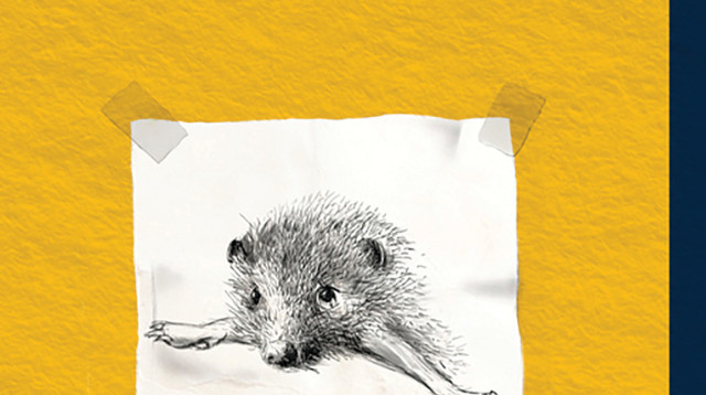 עטיפת הספר 'הו מאמא' (צילום: תומר אפלבאום)