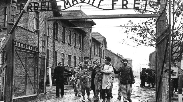 שחרור אושוויץ (צילום: רויטרס)