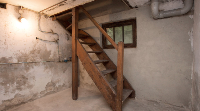 גילה דלת נסתרת במרתף (צילום: אינג'אימג')