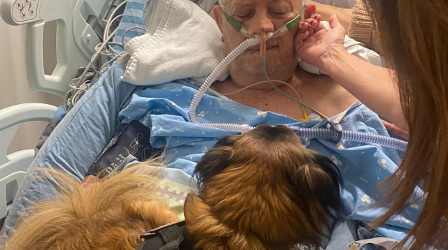 טדי על מיטתו של פלד. "מטפל חשוב במיוחד" (צילום: באדיבות המשפחה,דוברות בית החולים בילינסון)