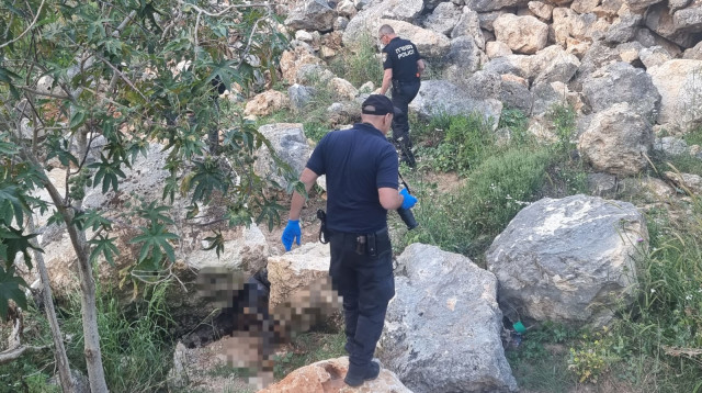 הזירה ביער סמוך למודיעין (צילום: דוברות המשטרה)