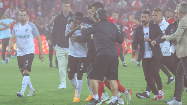 בחיפה התביישו: "מראות קשים ומבישים" (צילום: דני מרון)