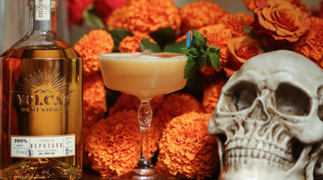 טקילה וולקן (צילום: אוראל סברן)