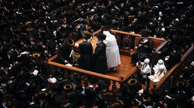 תפילה, חסידות בעלז (צילום: יונתן זינדל, פלאש 90)