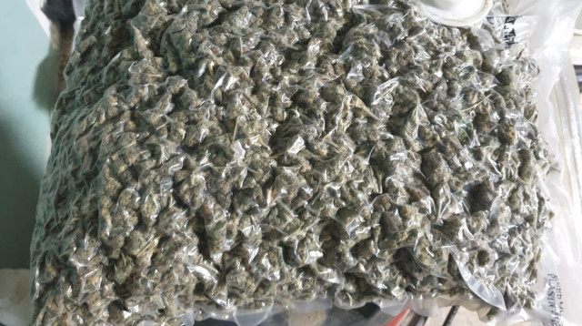 קנאביס. פעילות יזומה נגד עבירות סמים (צילום: דוברות המשטרה,אילוסטרציה)