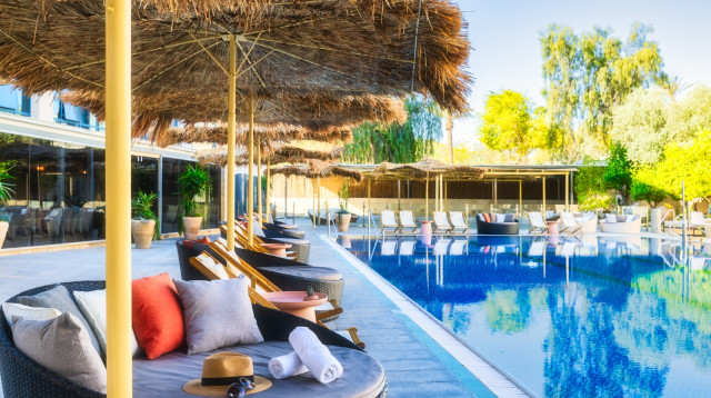 בראון רד סי באילת (צילום: מקס קובלסקי )