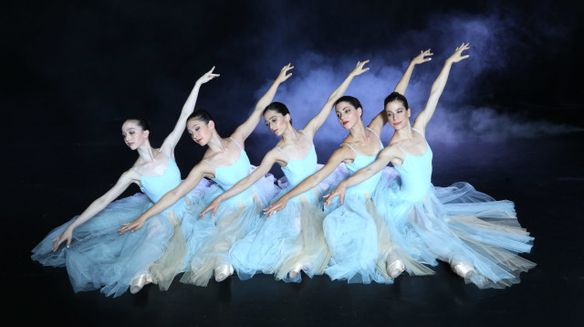 סרנדה לברבור (צילום: Susan & Hank Londoner)