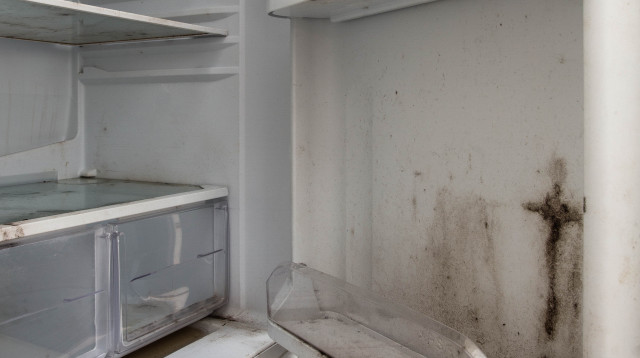 שמר את גופת אביו במקפיא "לא רציתי להיפרד" (צילום: אינג'אימג')