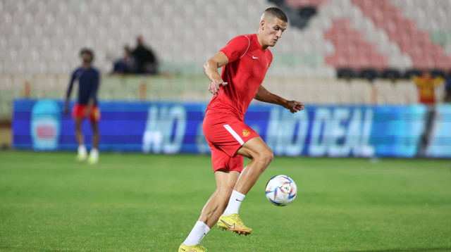 ישתדרג. צבטקוביץ' (צילום: לירון מולדובן)