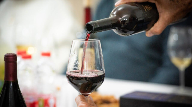 יריד היין ה-11 בראש פינה  (צילום: מיכל טייטלבאום)