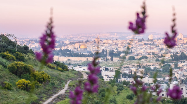 סיור לכל המשפחה בין אתרי עיר דוד על שביל ירושלים (צילום: אליהו ינאי, עיר דוד)
