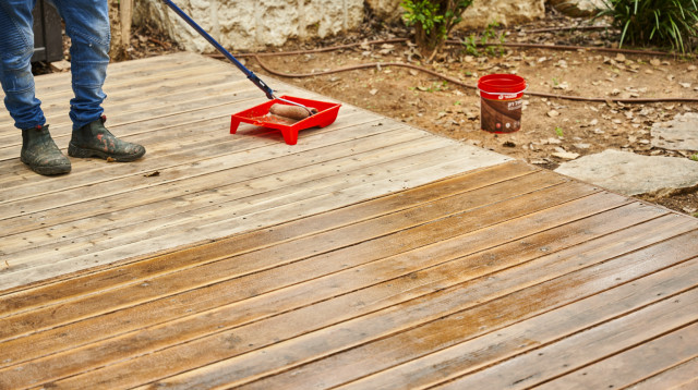 שמן דק (צילום: אלעד ברמי)