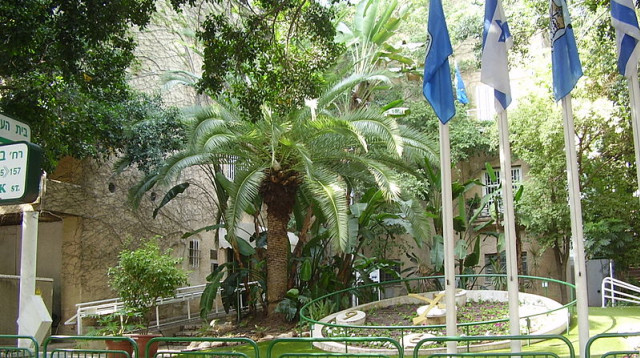 עיריית רמת גן (צילום: אבישי טייכר)